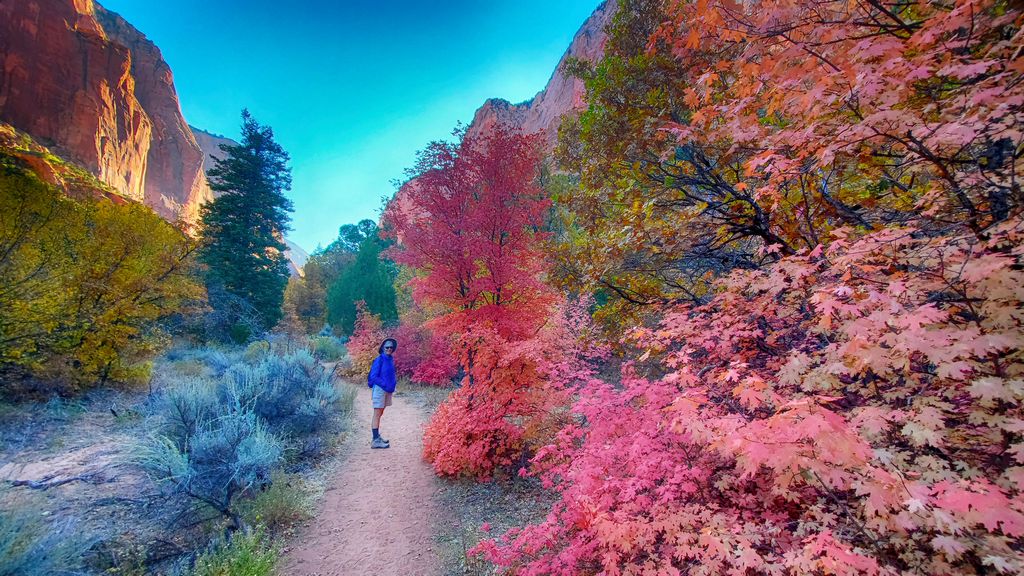 Fall Colors on Middle Fork Trail
